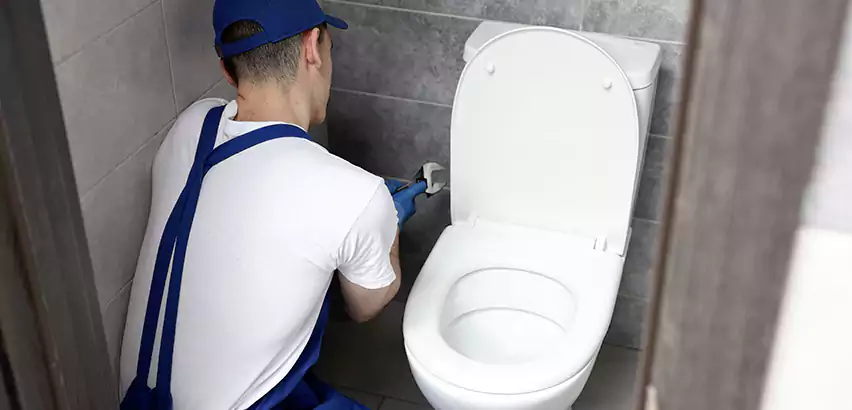 Toilet Lid Replacement in Helena