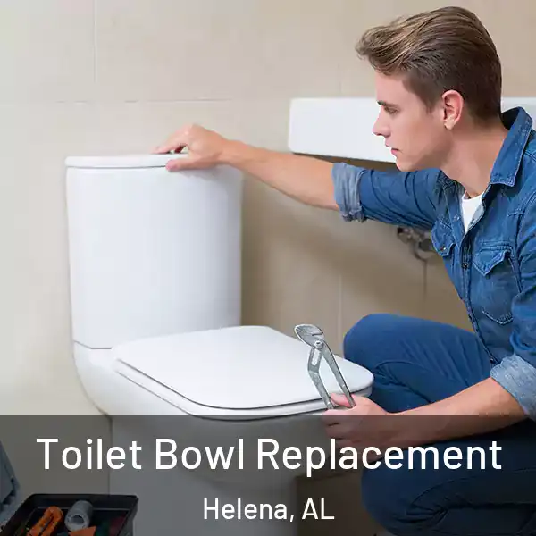  Toilet Bowl Replacement Helena, AL