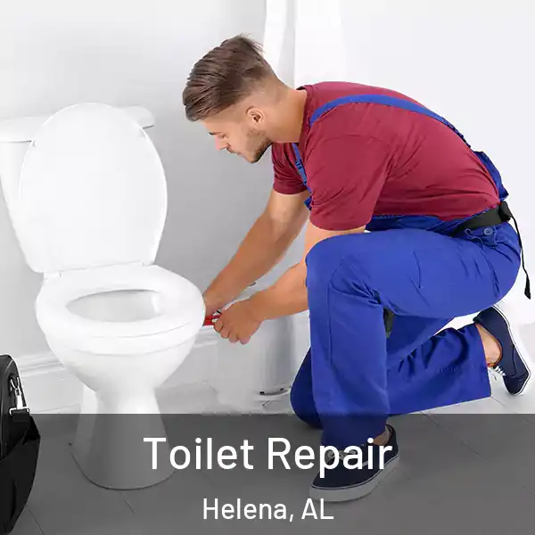  Toilet Repair Helena, AL