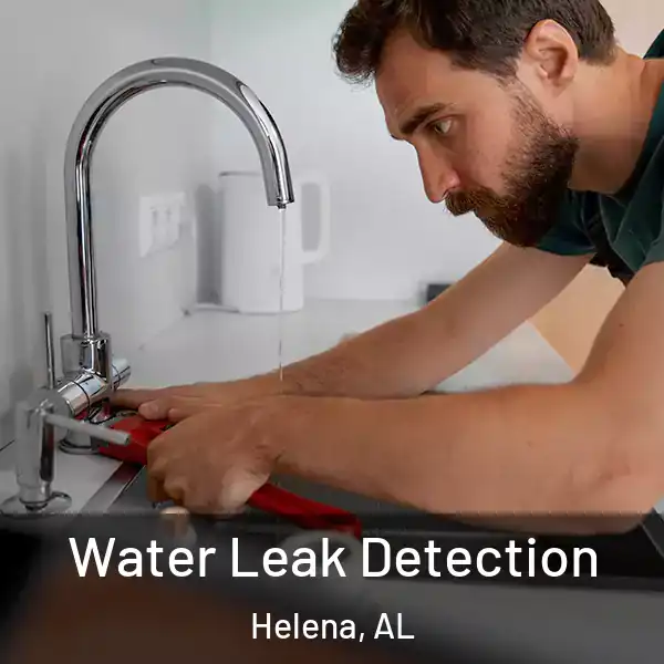  Water Leak Detection Helena, AL