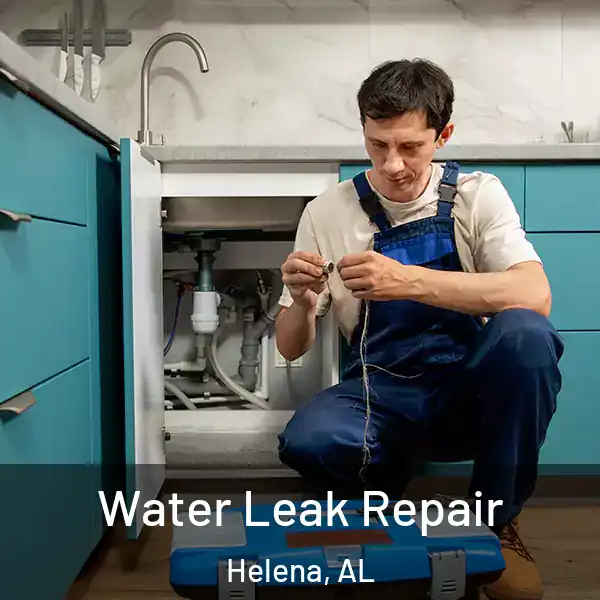  Water Leak Repair Helena, AL